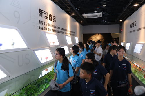 粵港澳大灣區禁毒文化交流活動在深圳舉行，以文化藝術助力禁毒宣傳